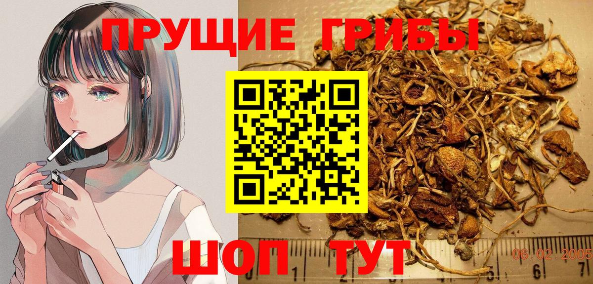 Ярцево  Галлюциногенные грибы MAGIC MUSHROOMS  Вход с VPN 